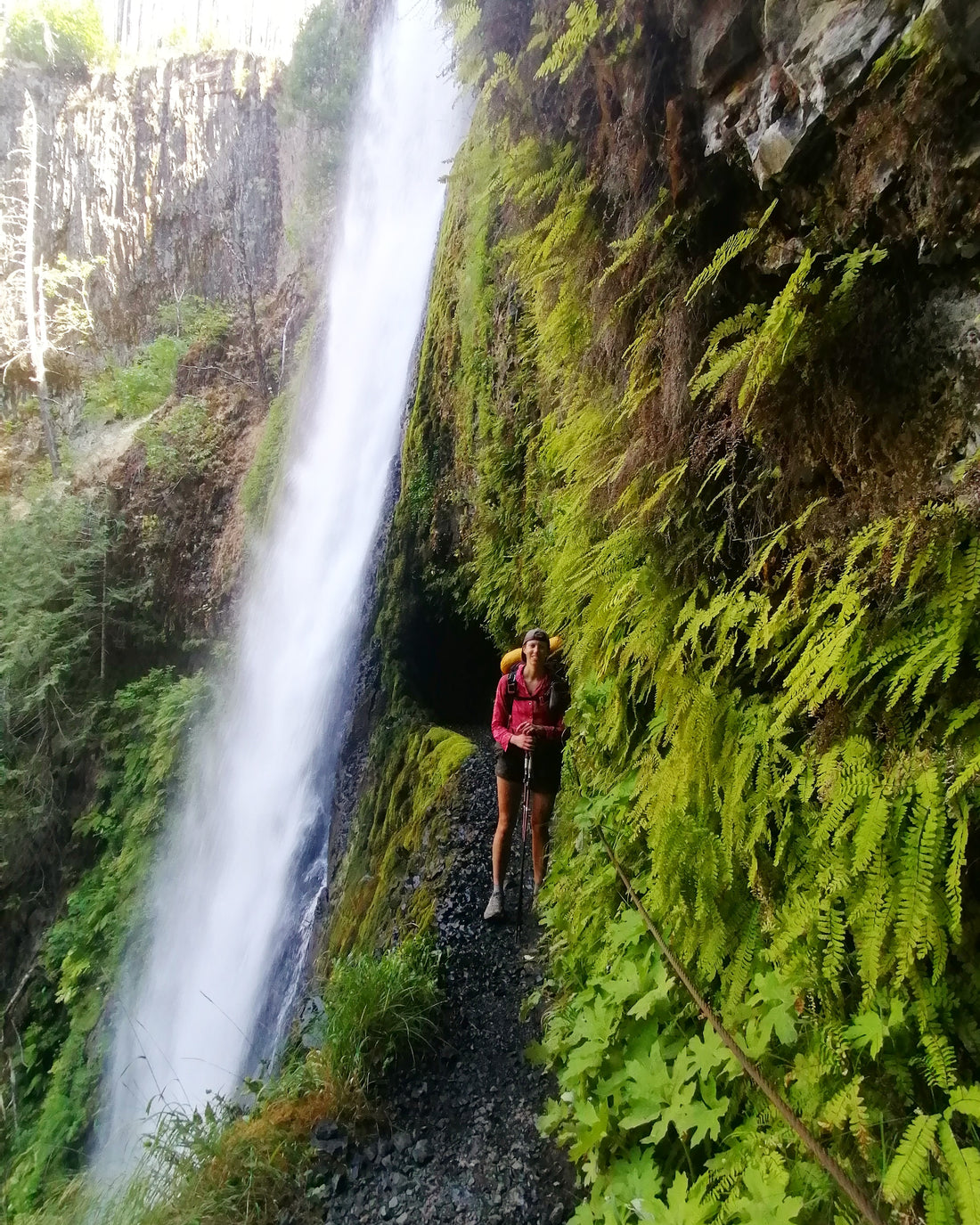Pacific Crest Trail IV - the end