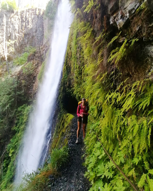 Pacific Crest Trail IV - the end
